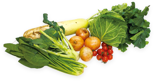 アツミ野菜BOX（11月～6月）